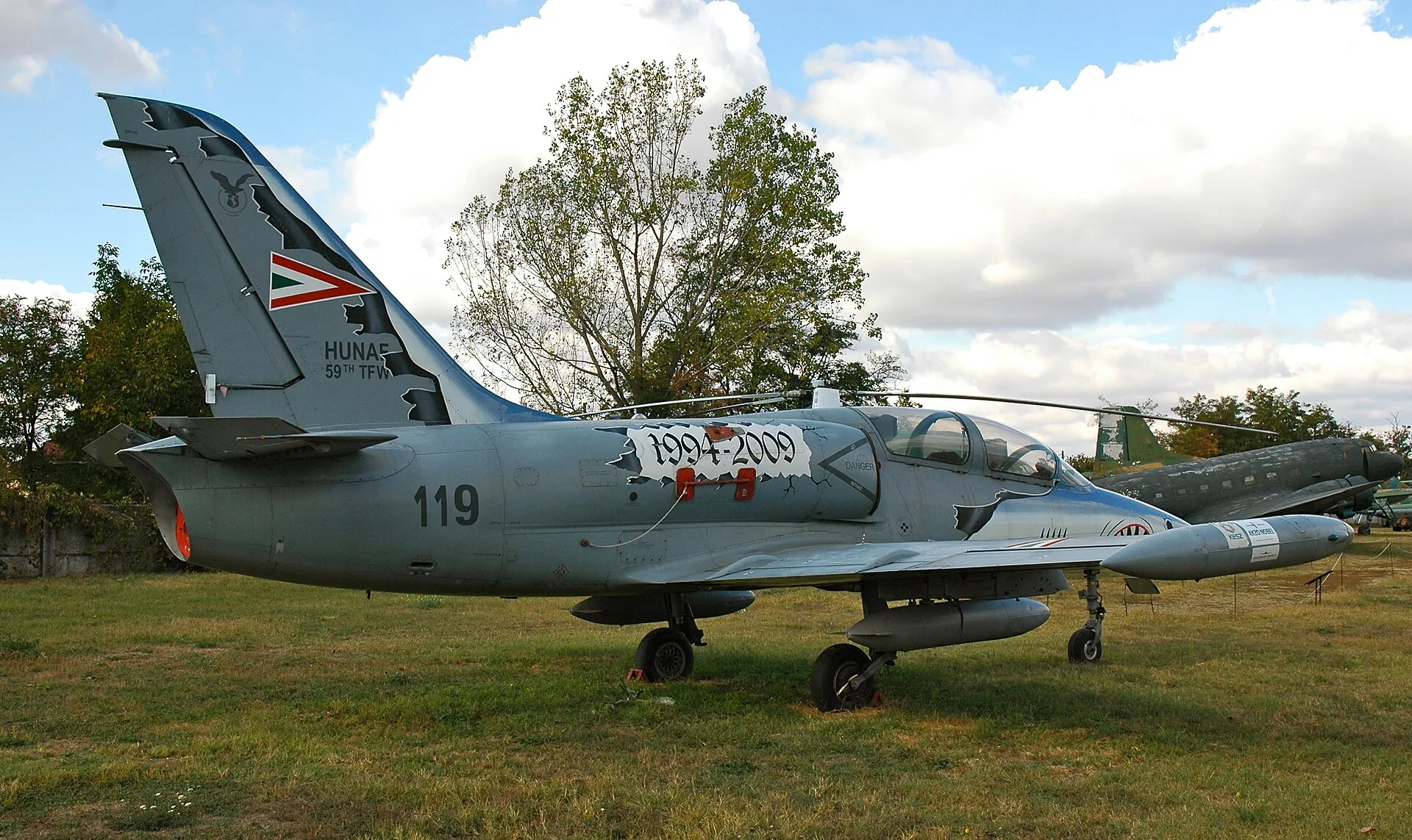 Aero L-39ZO Albatros im Flug