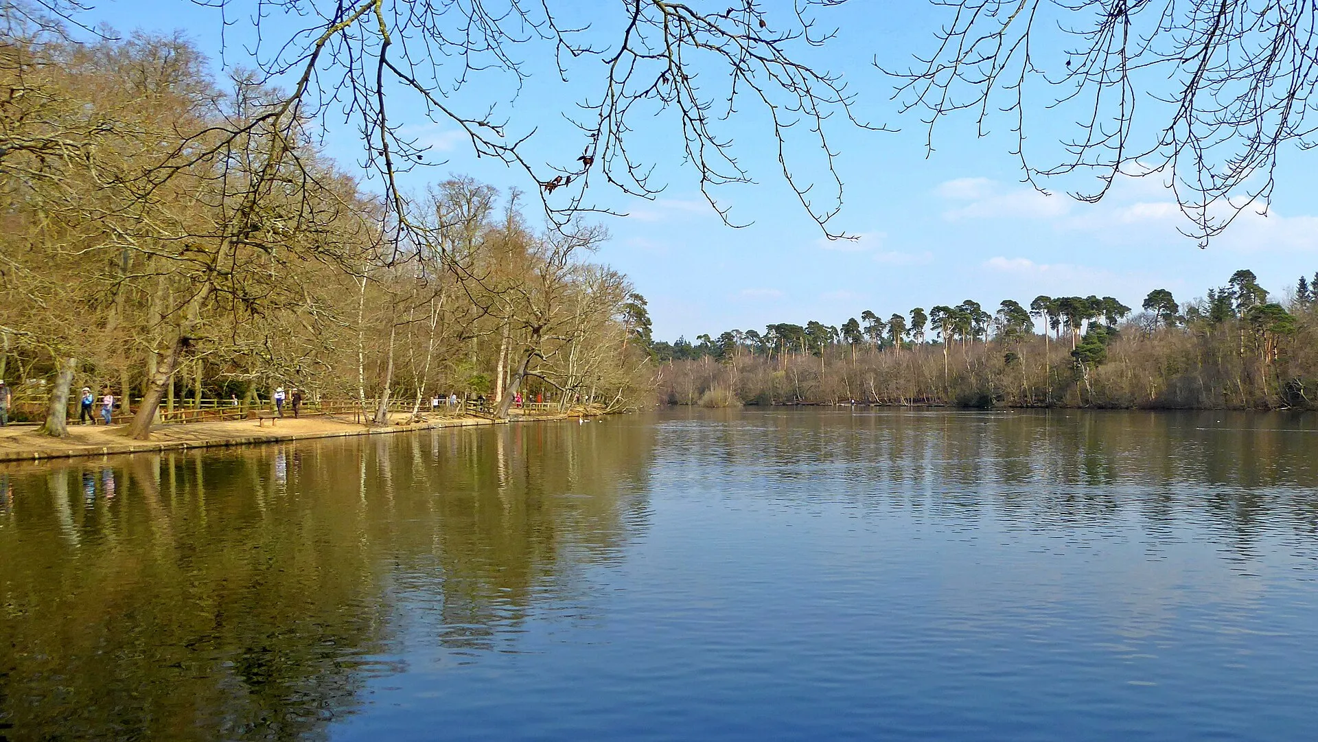 See im Black Park mit Uferweg, kahlen Laubbäumen und Kiefernwald am gegenüberliegenden Ufer