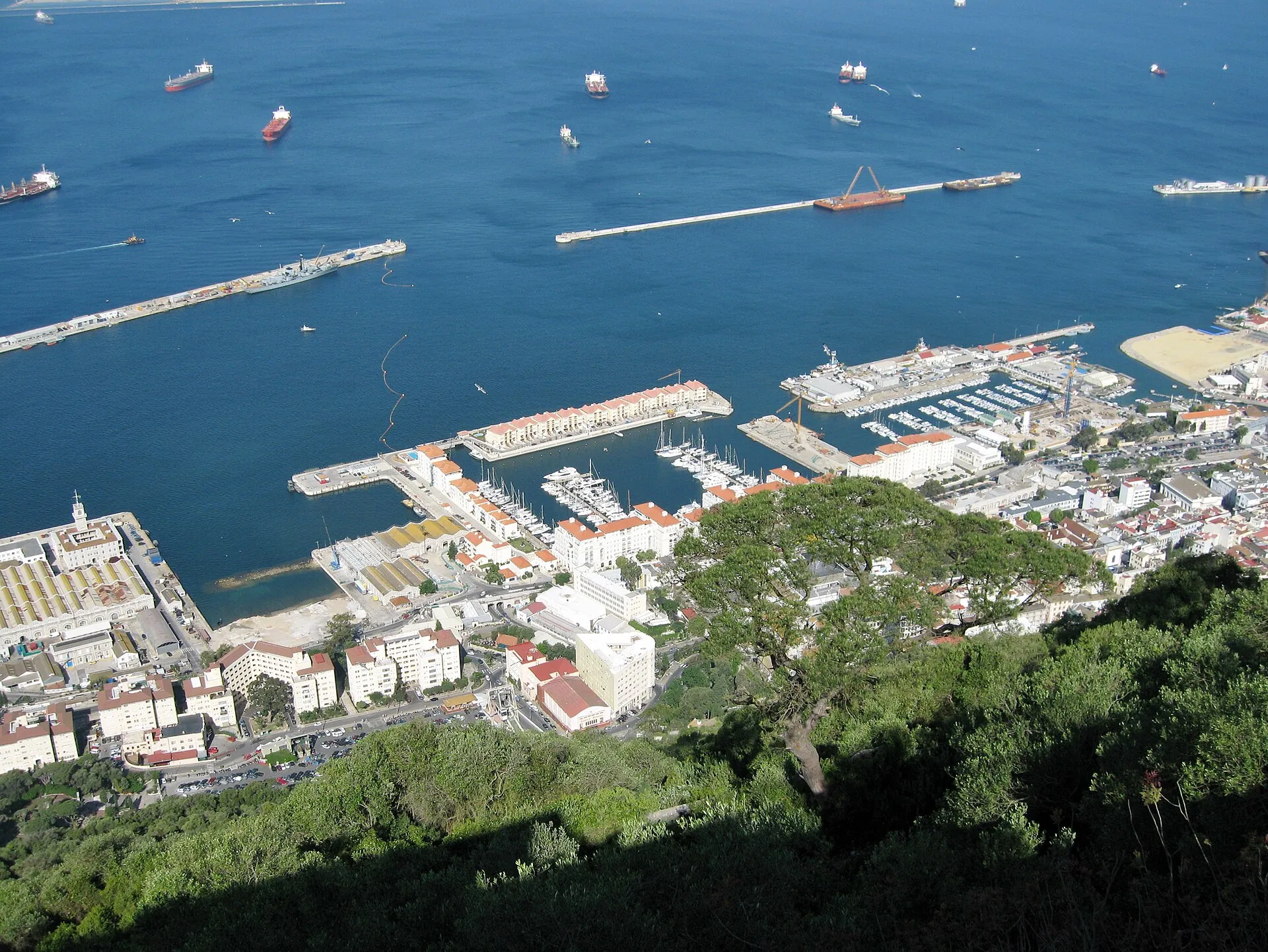 Blick vom Felsen auf den Hafen von Gibraltar mit Molen, Marina und Frachtschiffen