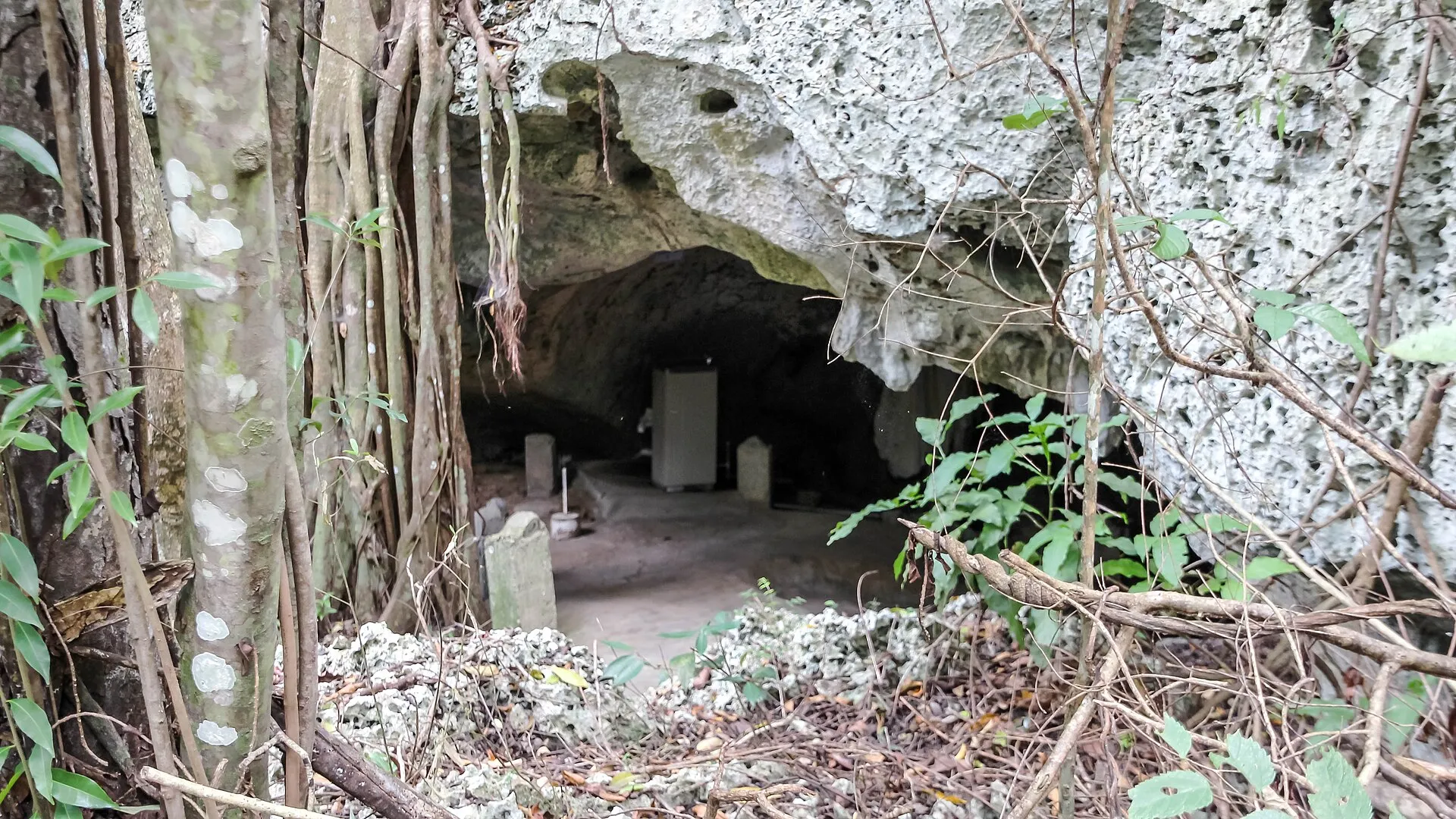 Beleuchteter Höhlengang der Green Grotto Caves mit Tropfsteinen und Felsdecke
