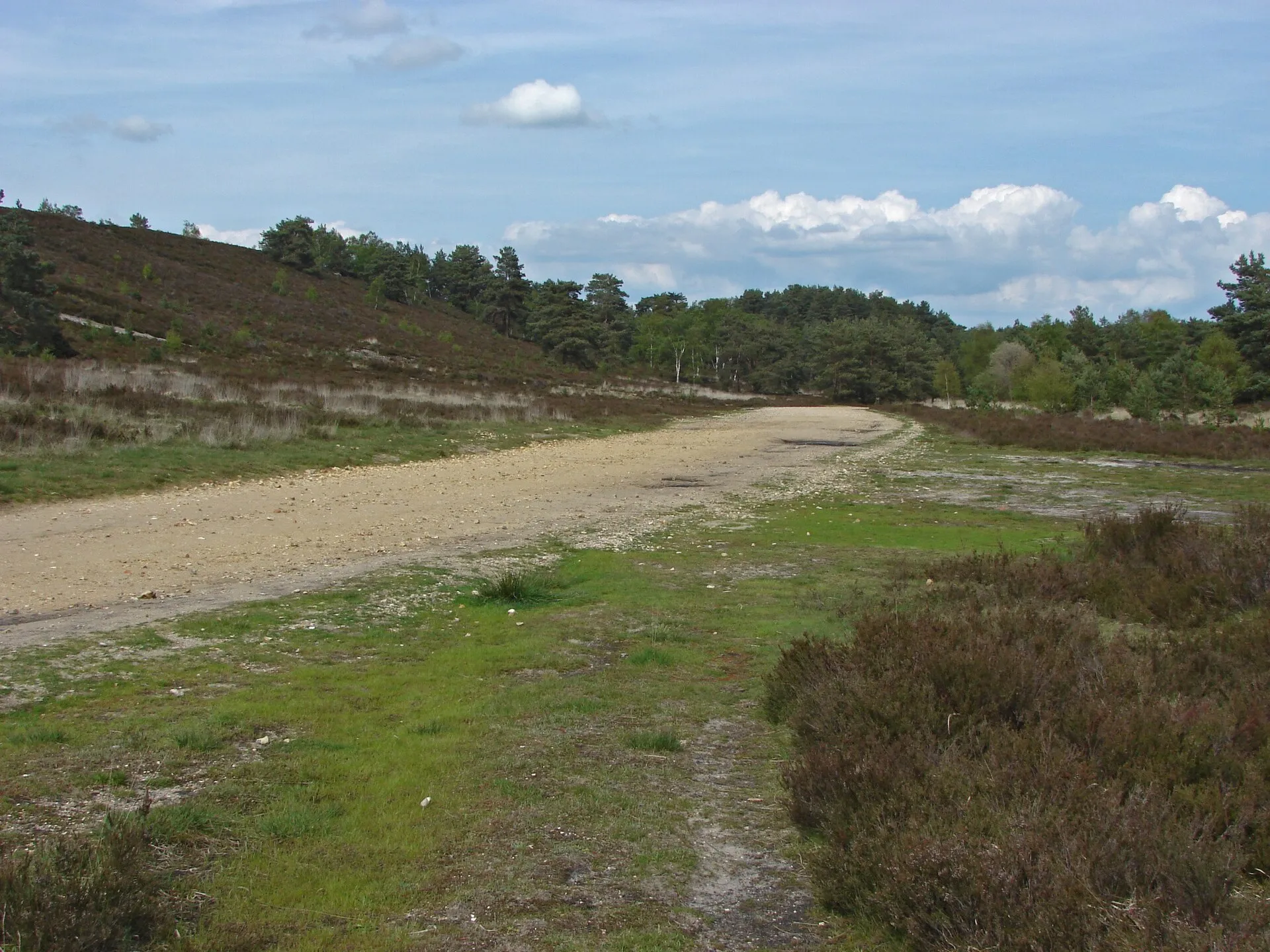 Heidelandschaft und Sandweg auf Hankley Common