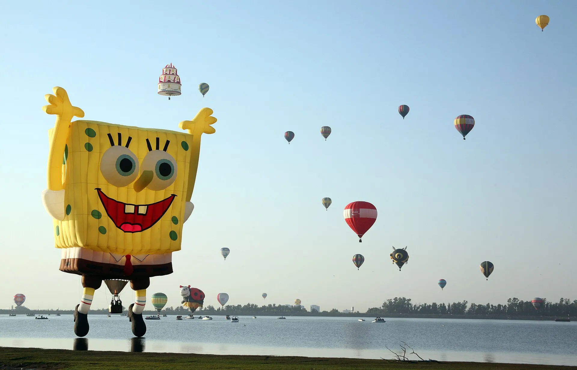 Mehrere farbige Heißluftballons bei einem Festival