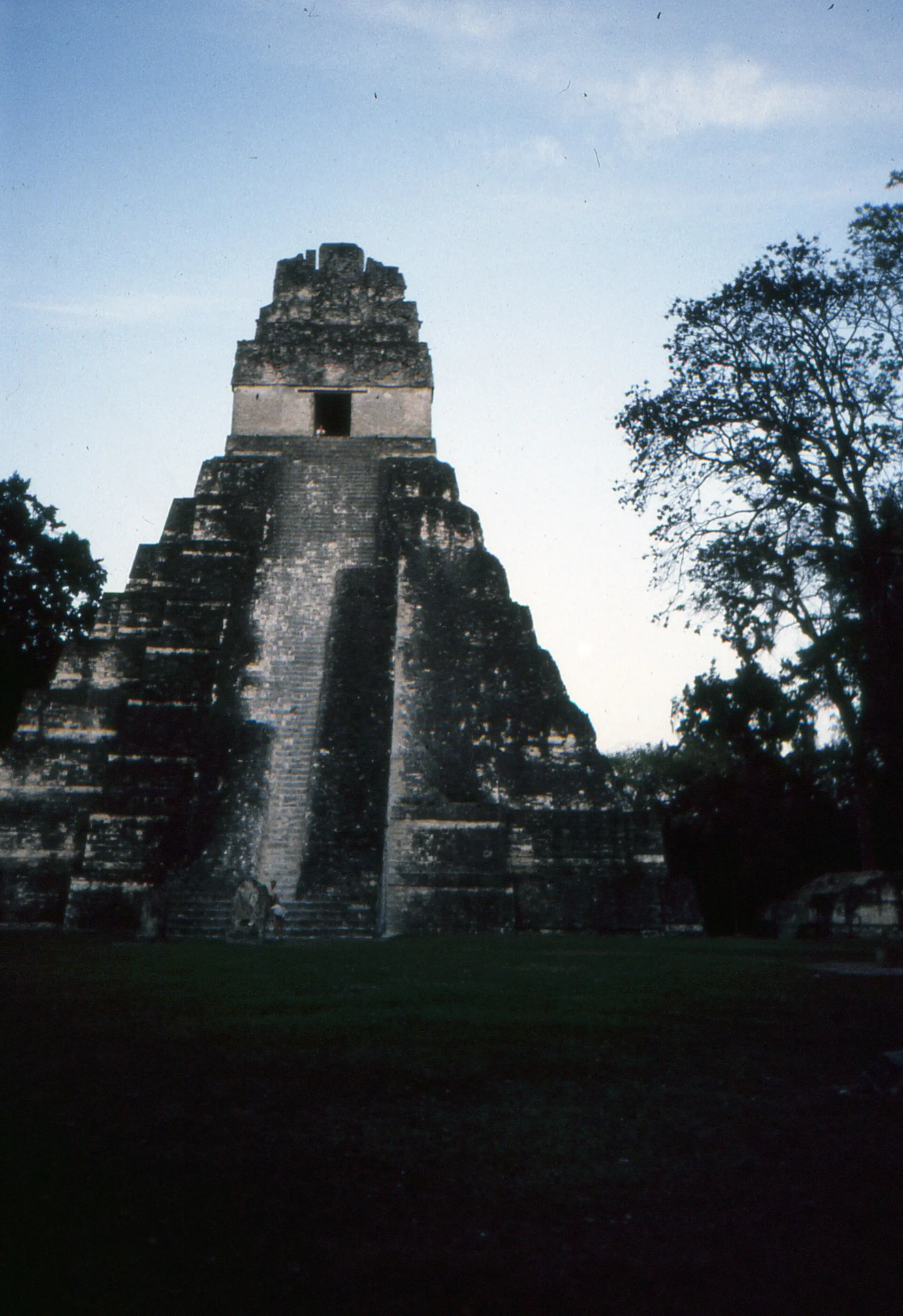 Steile Stufenpyramide der Maya-Stätte Tikal über dem guatemaltekischen Regenwald