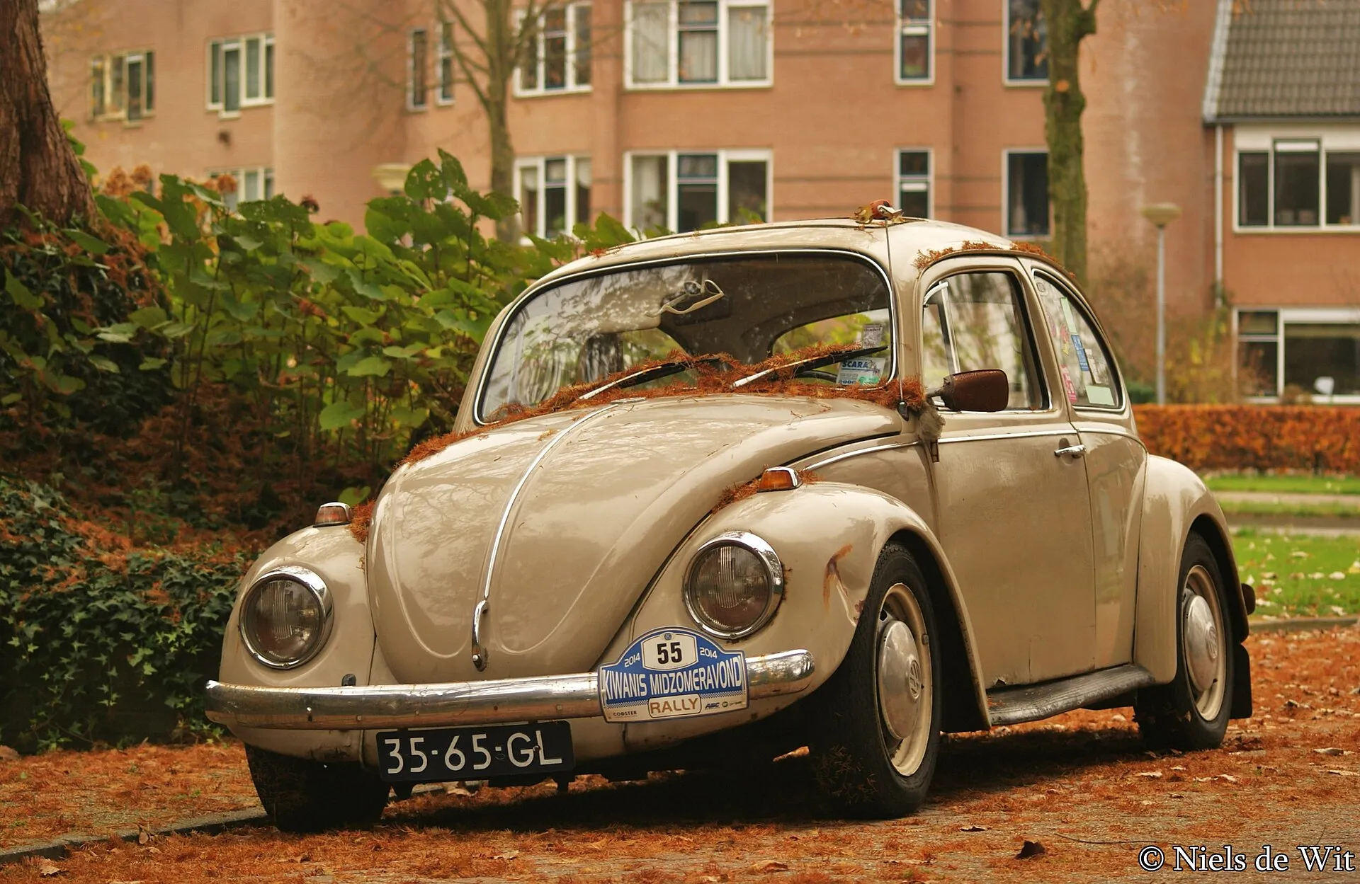 Beiger VW Käfer 1300 von 1968 mit Rallyeschild unter herbstlichem Laub am Straßenrand